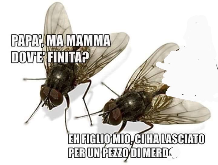 Meme del giorno - Pagina 40 E9agt610