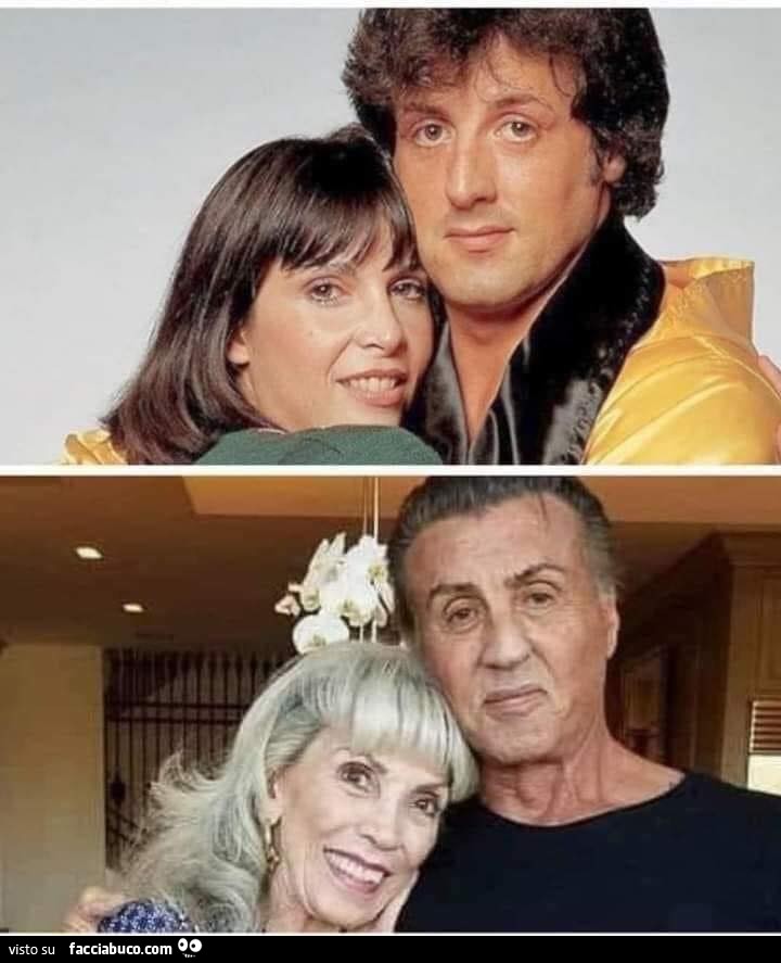 Rocky Tarta e ruga ancora vive F09uxa10