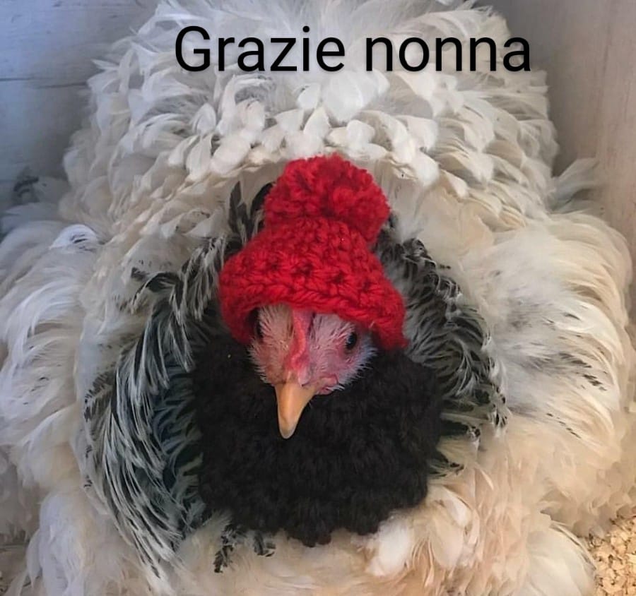 Grazie  nonna  Img-2762