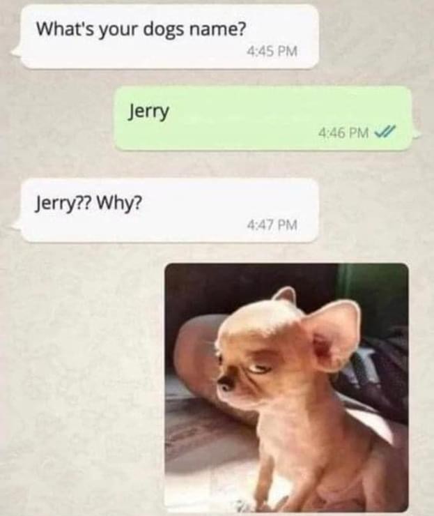 Perché  gerry K1urjm10