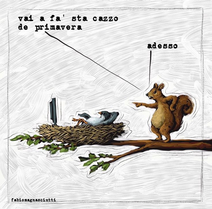 Gli scoiattoli non mangiano solo noccioline - Pagina 7 Mtodak10
