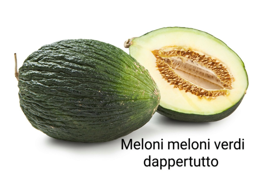 Meloni verdini Porced10
