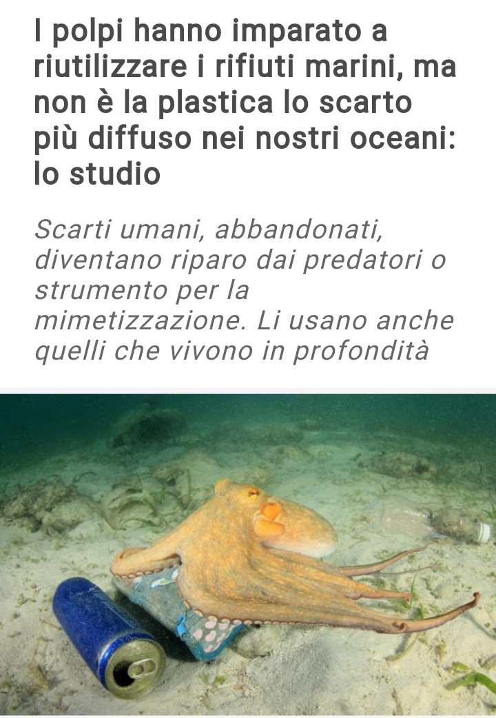 I rifiuti usati Scre1057