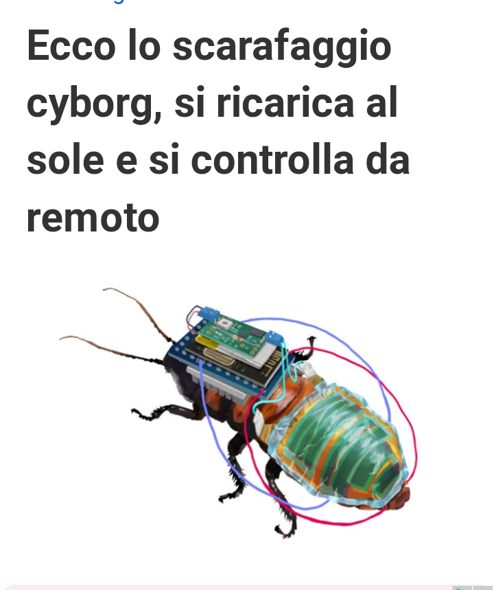 Blatta telecomandata Scre1471