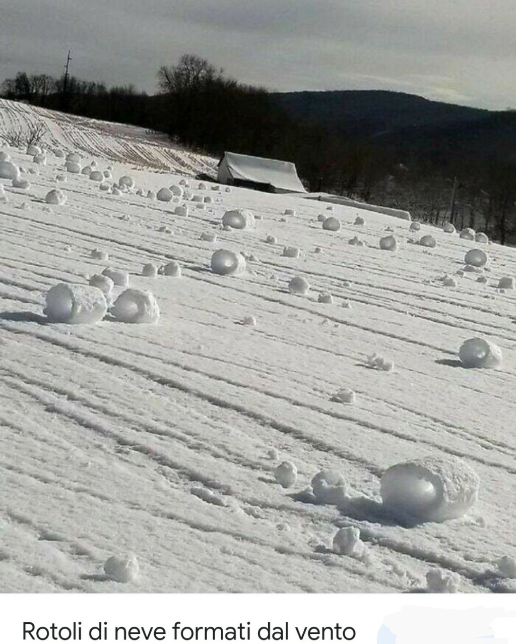 Rari rotoli di neve non tutti li avranno visti   Scree503