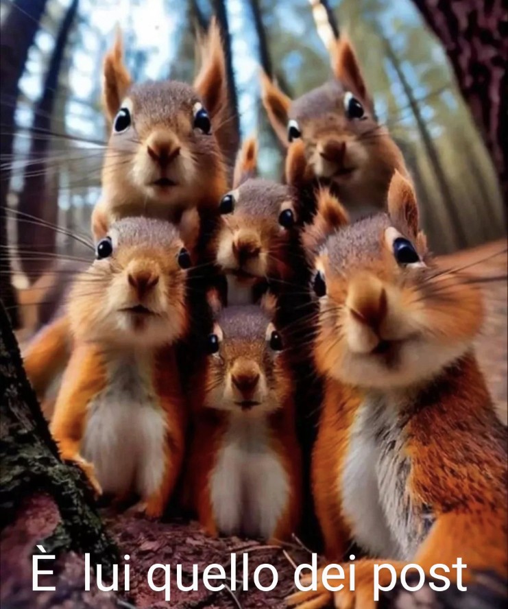 Gli scoiattoli non mangiano solo noccioline - Pagina 4 Vk4edb10