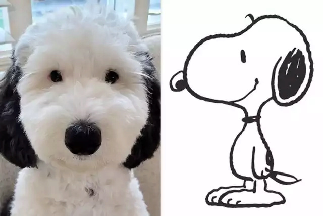 Snoopy esiste Yismgc10