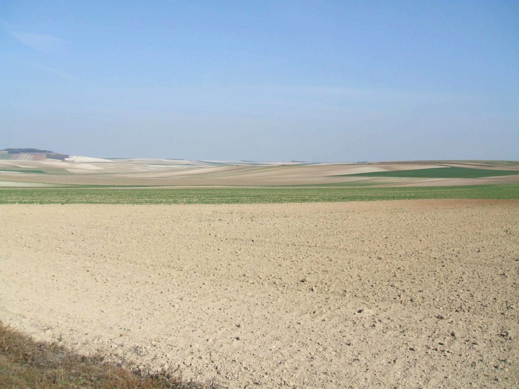 Foire de Châlons 2022 5_terr10