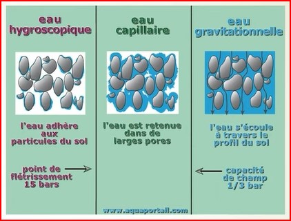 Pluie 2023 - Page 2 Eau_so10