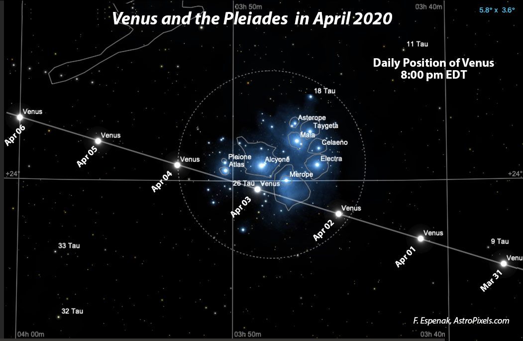 Vénus dans les Pléiades 91691610