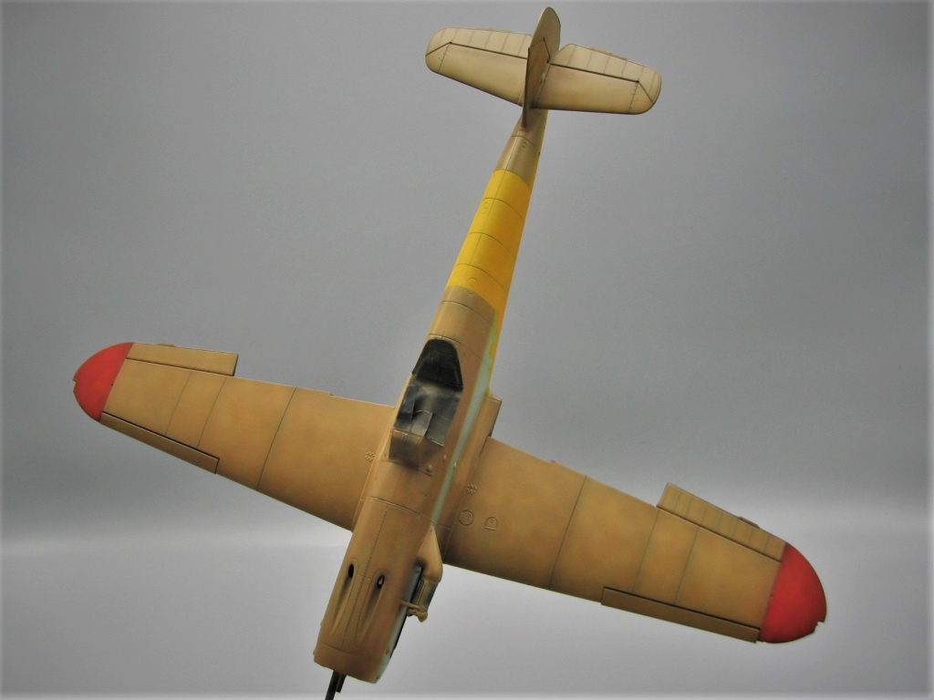 BF 109 G2/R2 us air force  hasegawa 1/32 terminé ... - Page 3 Img_6873