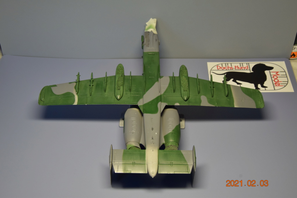 [GB Guerre du Golfe] Fairchild A-10A "Thunderbolt II" - Hasegawa - 1/72 - Page 3 06015