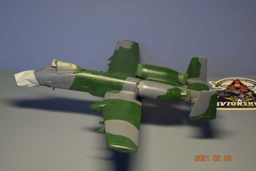 [GB Guerre du Golfe] Fairchild A-10A "Thunderbolt II" - Hasegawa - 1/72 - Page 3 06115