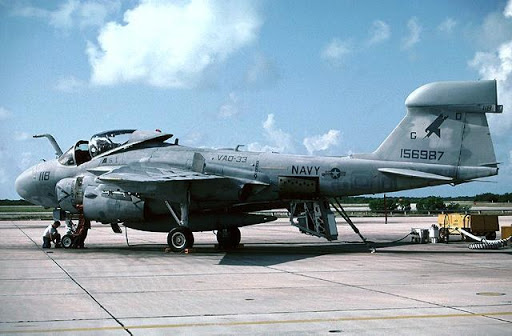 Grumann EA-6A Intruder "Wild Weasel" - Italeri - 1/72 Unname10