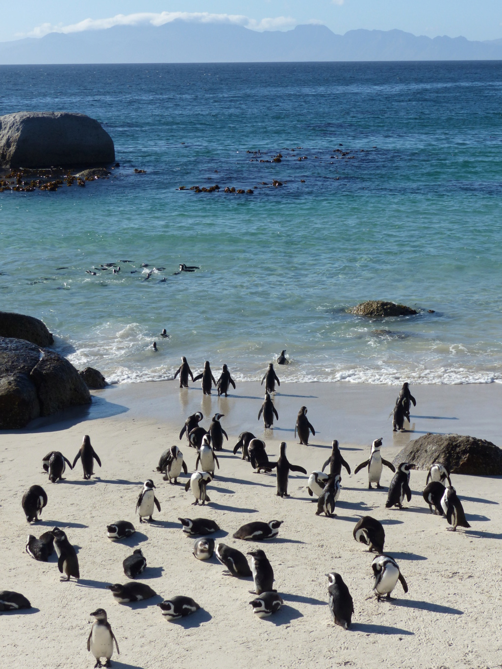 Concours photo janvier 2024 :  les pieds dans l'eau  2014_110