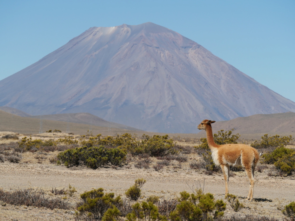 15 jours au Pérou: itinéraire et carnet de voyageur P1021710