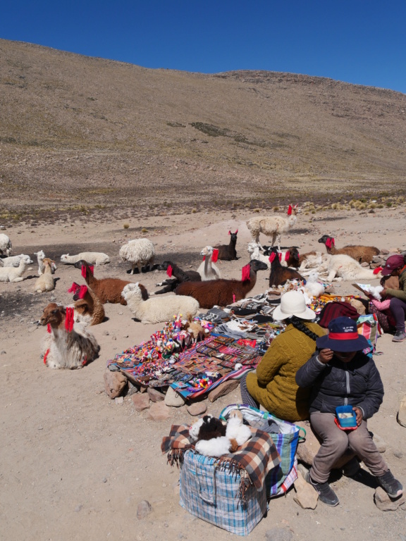 15 jours au Pérou: itinéraire et carnet de voyageur P1021910
