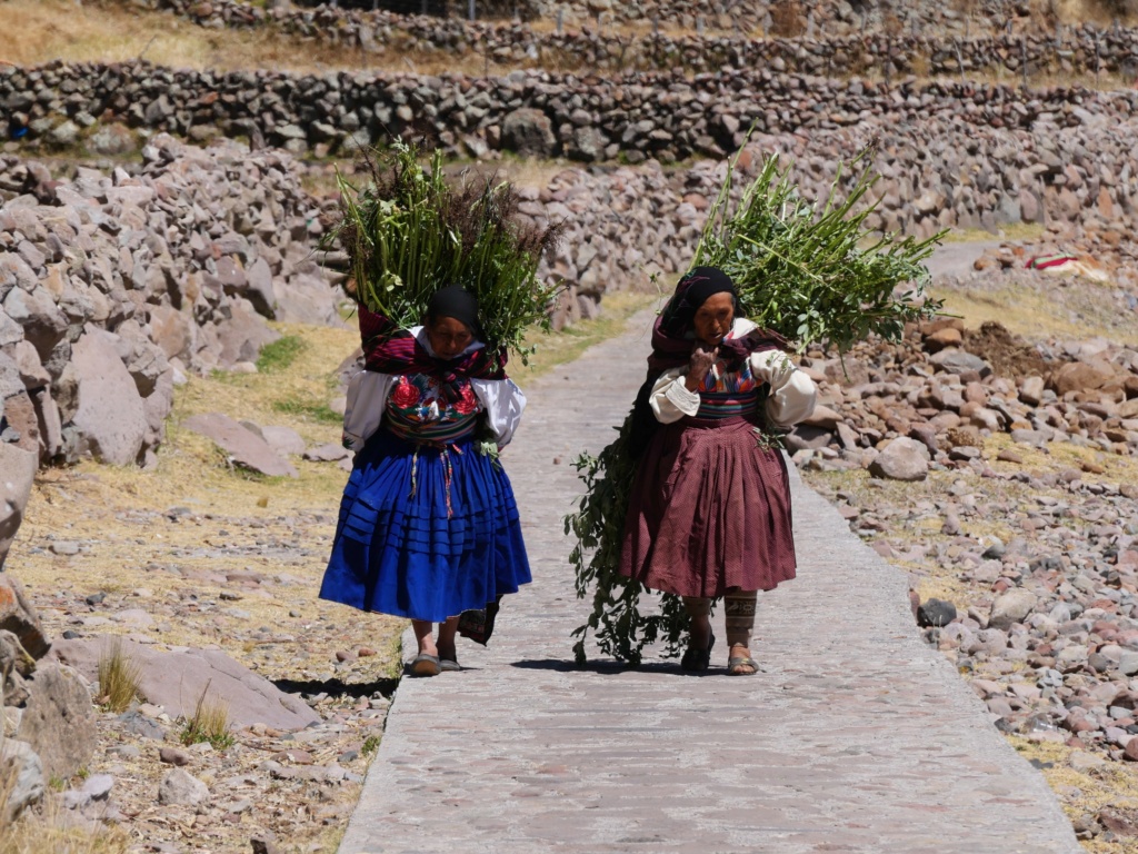 15 jours au Pérou: itinéraire et carnet de voyageur P1032910