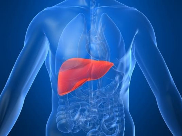 الكبد في خطر: تعرّف على العادات الضارة التي تؤثر سلبًا على صحة هذا العضو الحيوي Aaaaaa15
