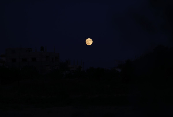 القمر الأزرق العملاق.. ظاهرة فلكية نادرة تضيء سماء فلسطين والعالم   E1da1511