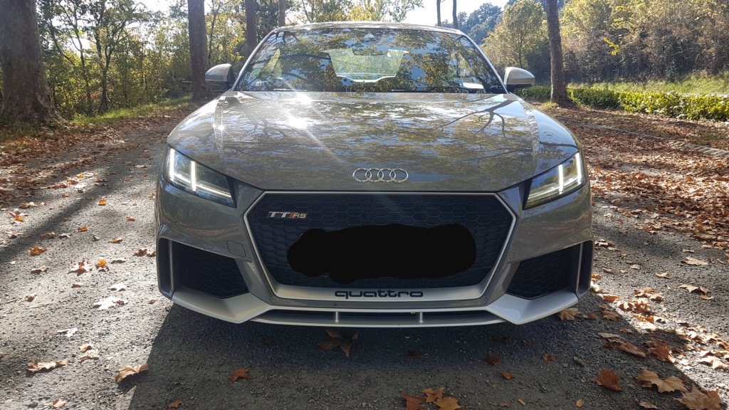 AUDI TT RS MK3 GRIS NARDO 20211016