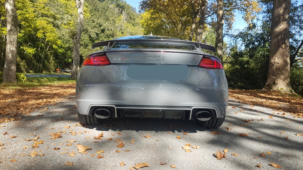 AUDI TT RS MK3 GRIS NARDO 20211017