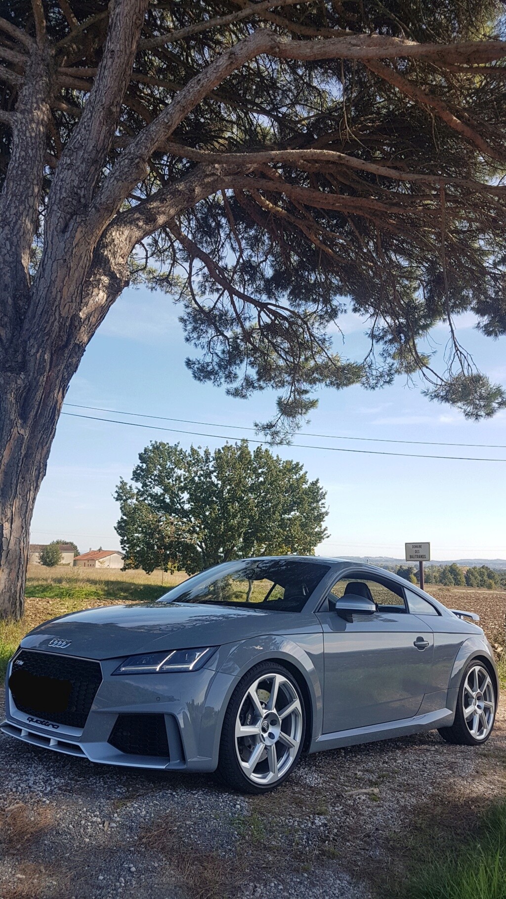 AUDI TT RS MK3 GRIS NARDO 20211020