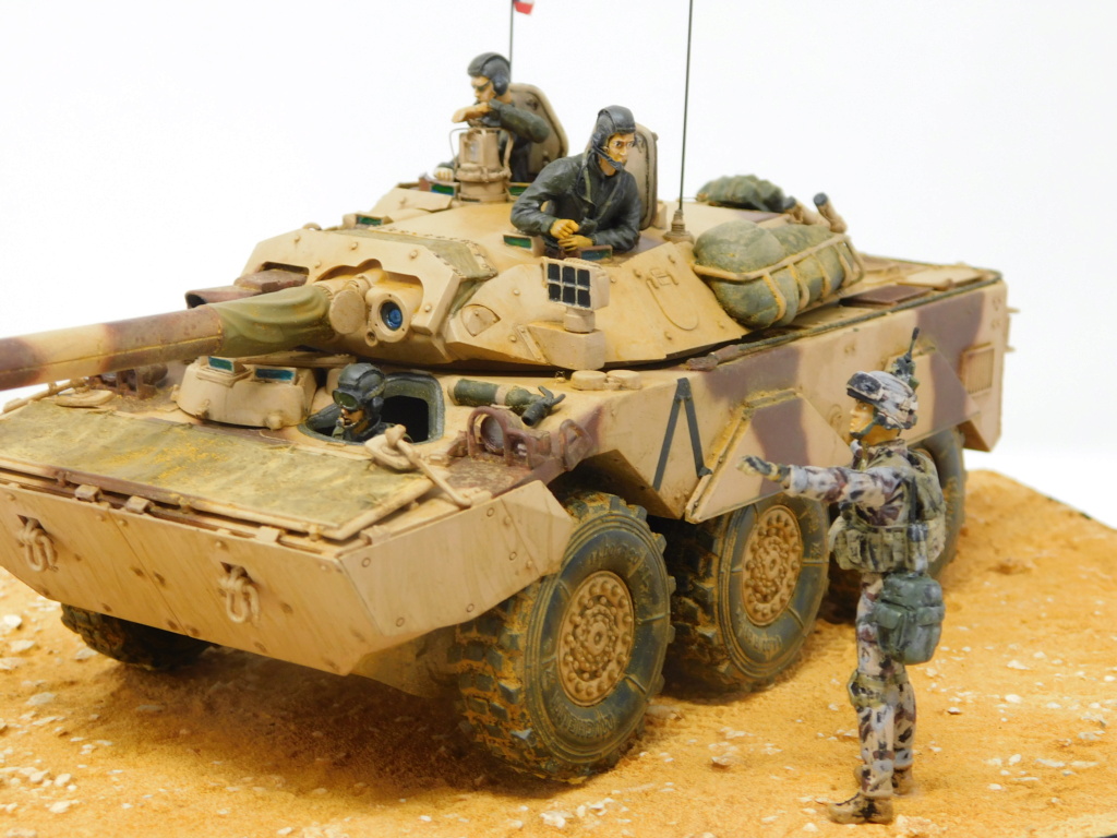 [TIGER MODEL] AMX 10 RC Réf 4609 Dscn1066