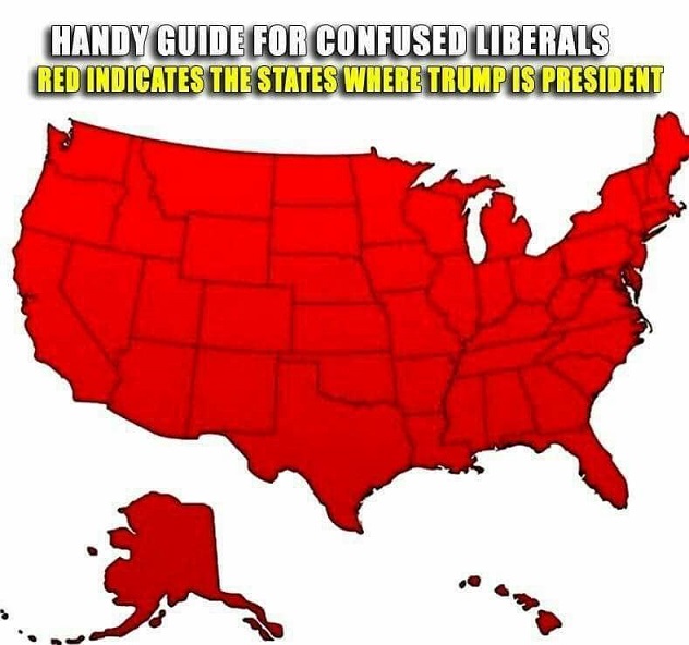 Guide for confused Liberals Confus11