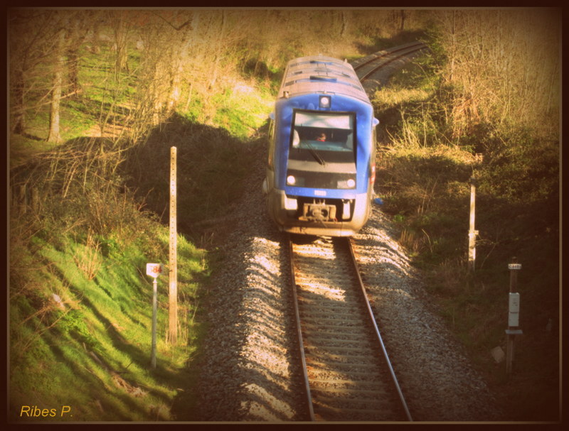 X 2100/2200 en Languedoc Roussillon/Midi Pyrénées.  - Page 3 St_pat10