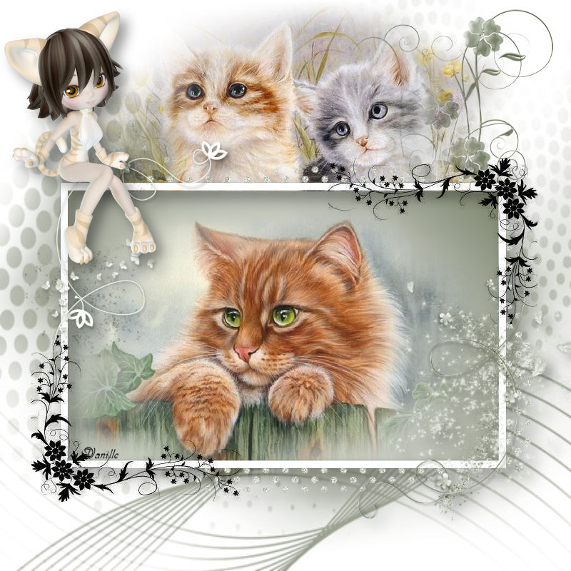 13- Cats de Karin par Animabelle  13_cat10