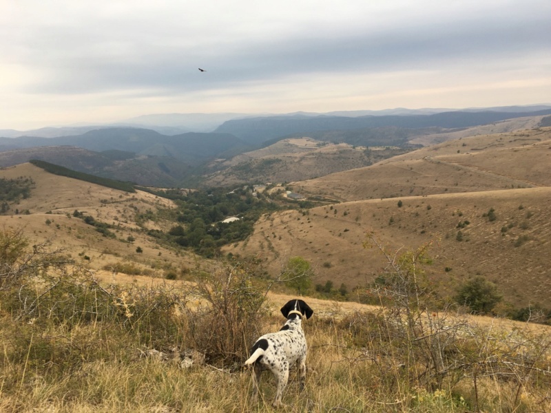 12-30-48 Aveyron-Gard-Lozère saison 2018/2019 - Page 2 Img_0423