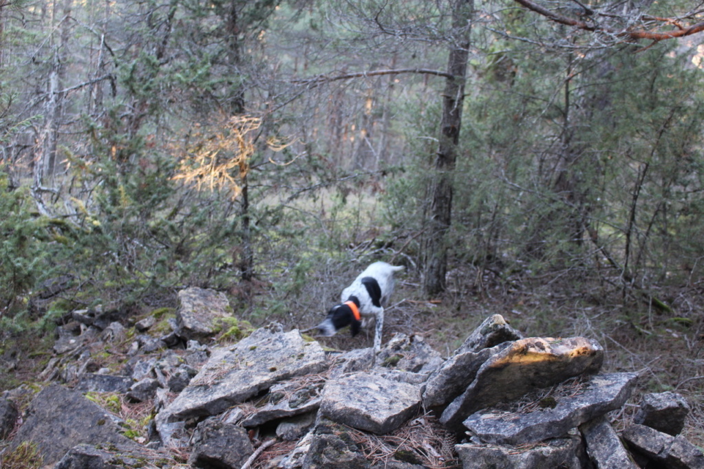 12-30-48 Aveyron-Gard-Lozère saison 2018/2019 - Page 9 Img_1610