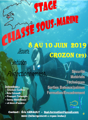 stage chasse sous marine Crozon - 8 au 10 juin 2019 Stage10