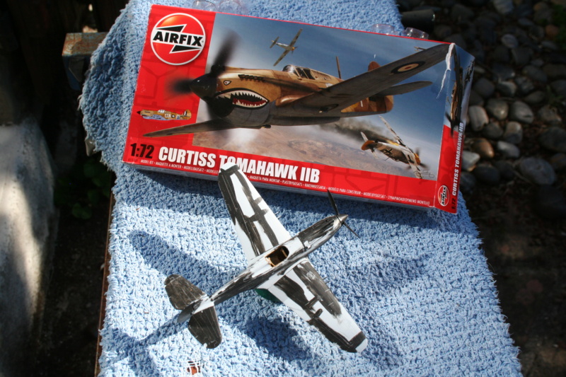Curtiss Tomahawk II B Img_4919