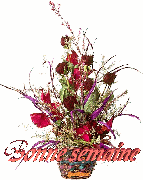 mardi 9 octobre 3be97910