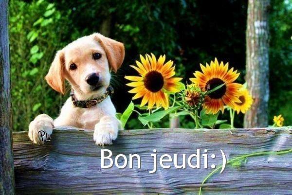 jeudi 18 octobre Jeudi_16