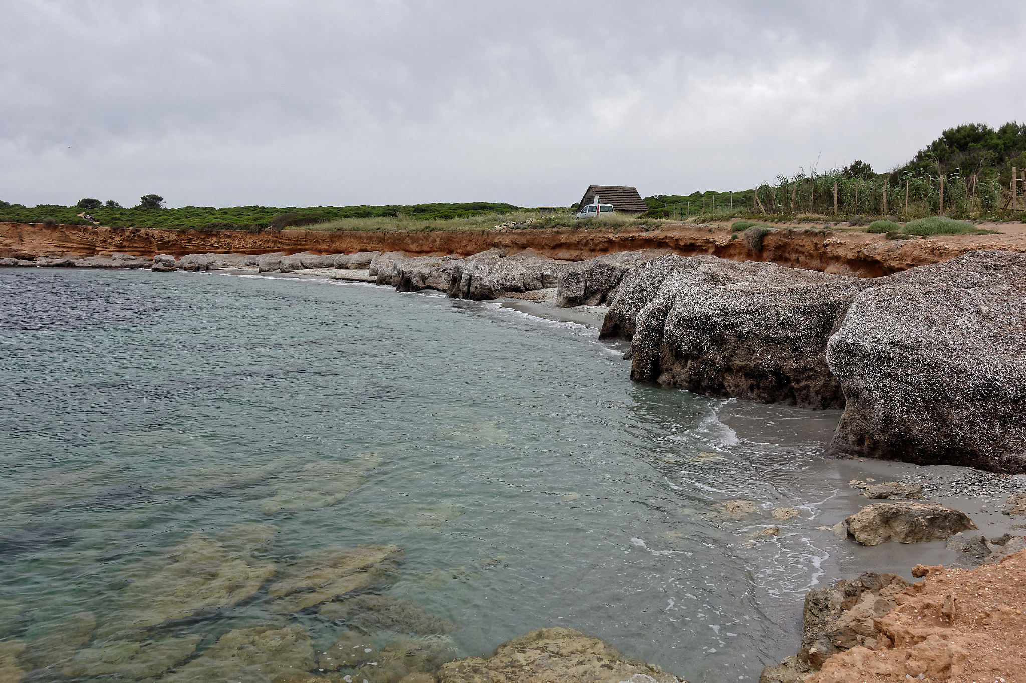 petit - CR d'un petit tour de la Sardaigne (printemps 2018) - Page 3 Dsc02625