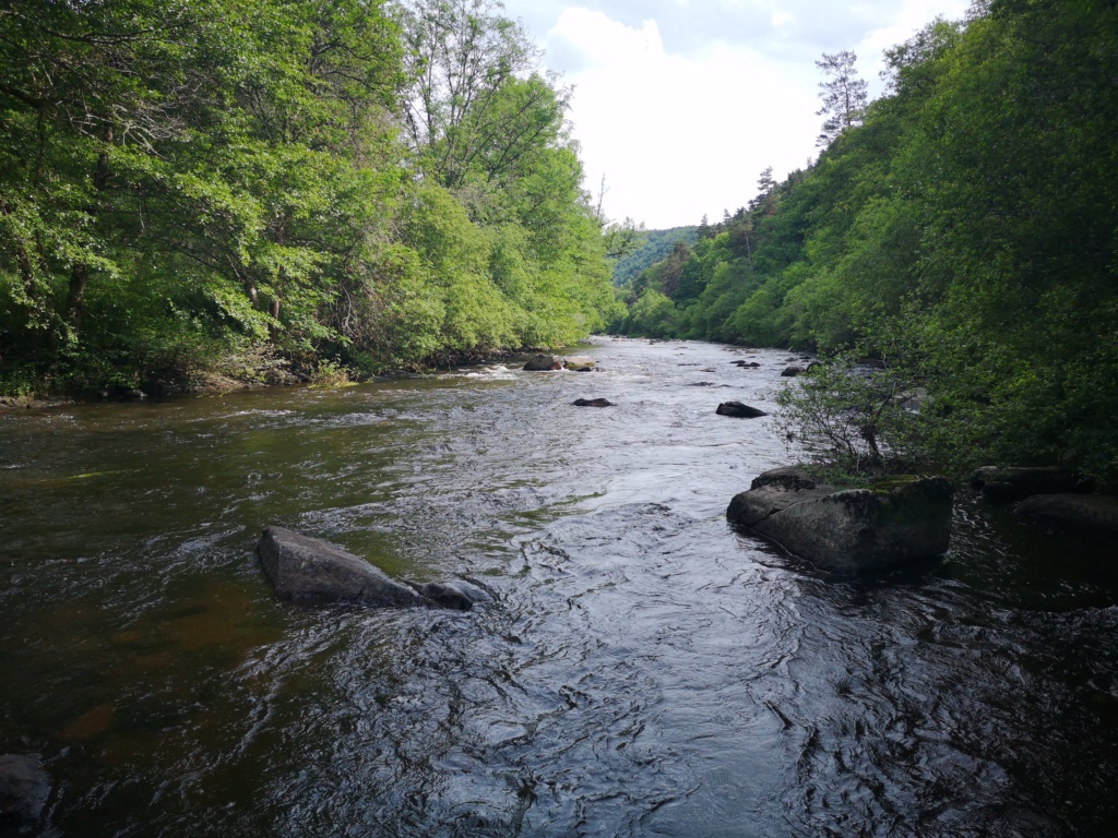 Compte rendu sortie Cantal 2019 - Page 2 Img_2197