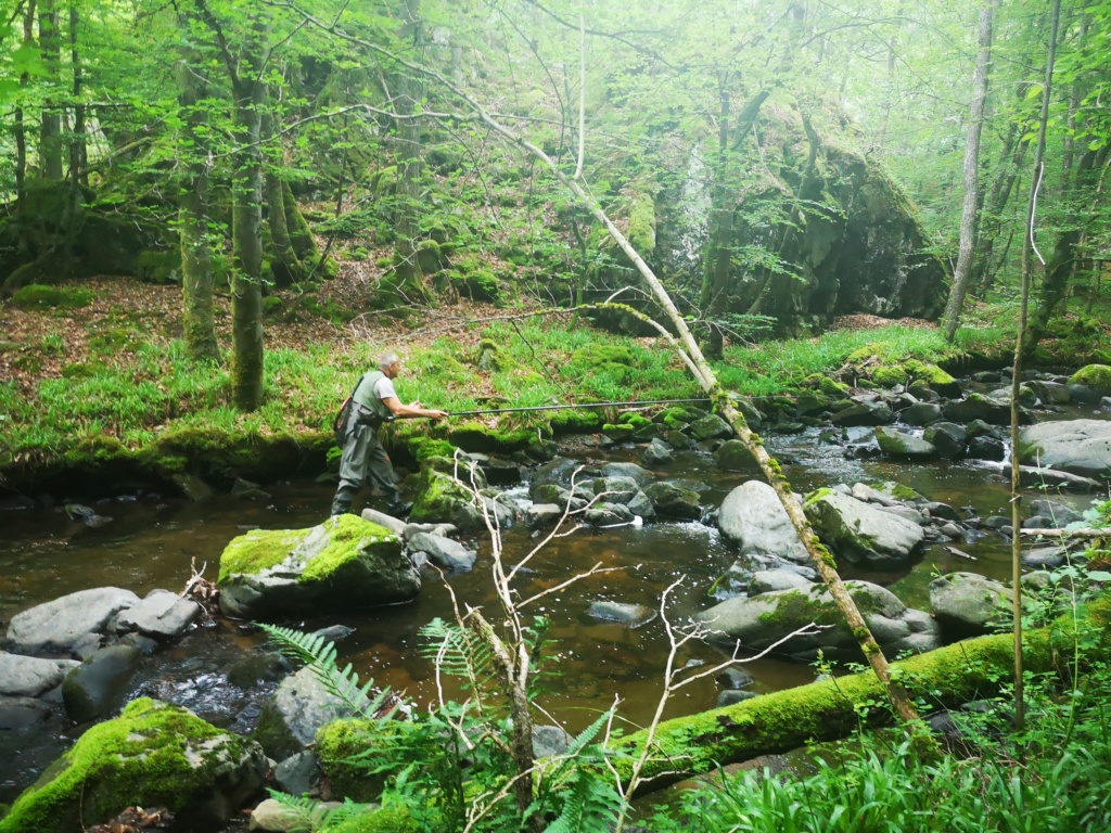 Compte rendu sortie Cantal 2019 - Page 2 Img_2204