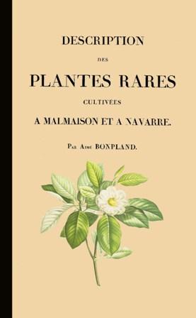 Les botanistes - Page 25 45231110