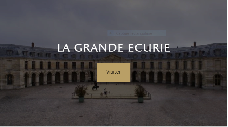 Exposition "Cheval en majesté au cœur d'une civilisation", au château de Versailles (2 juillet au 3 novembre 2024) _66