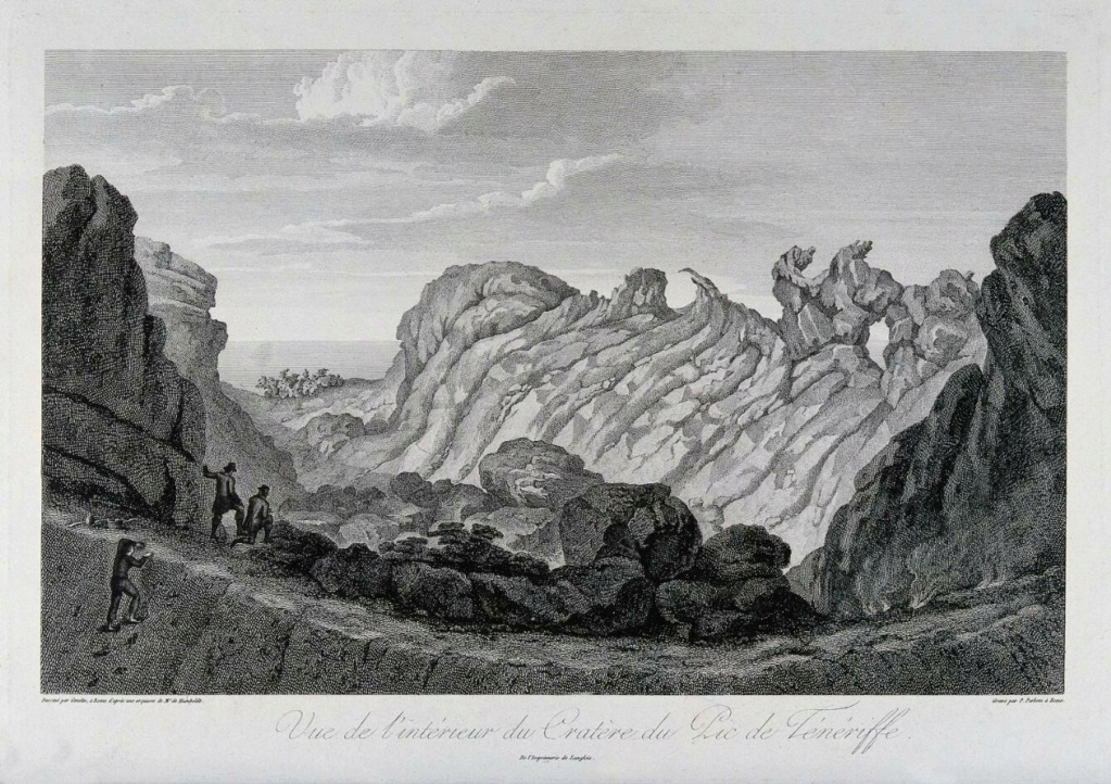 bonpland - Aimé Bonpland  ( 1773 - 1858 )  Defaul11