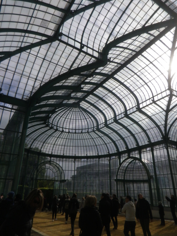 Belgique : les Serres royales de Laeken Imgp0832
