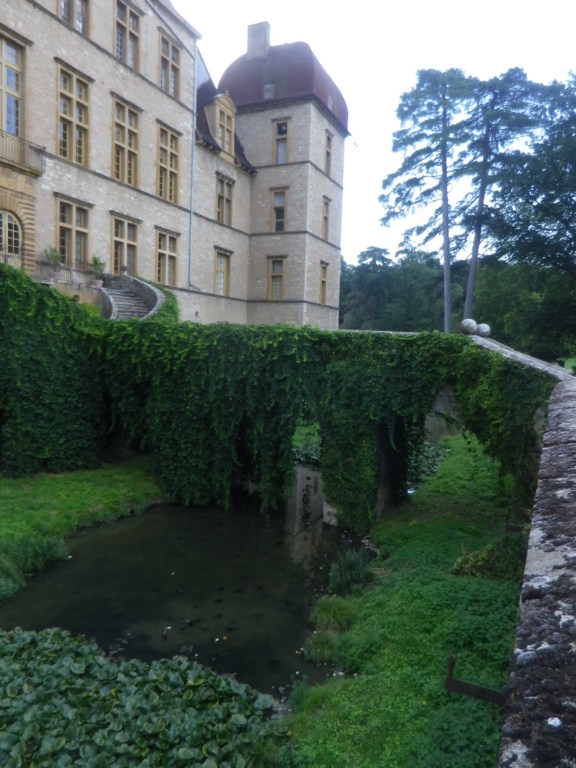 Dans l'Ain, le château de Fléchères Imgp1177