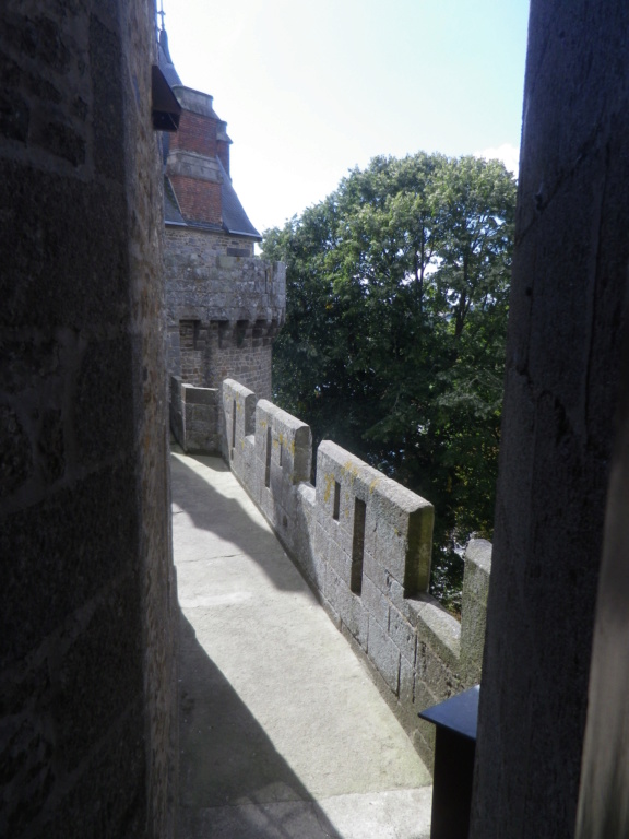 COMBOURG - Combourg, le donjon de Chateaubriand ... Imgp1223