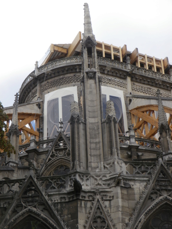 La restauration de la cathédrale Notre-Dame de Paris - Page 3 Imgp1327