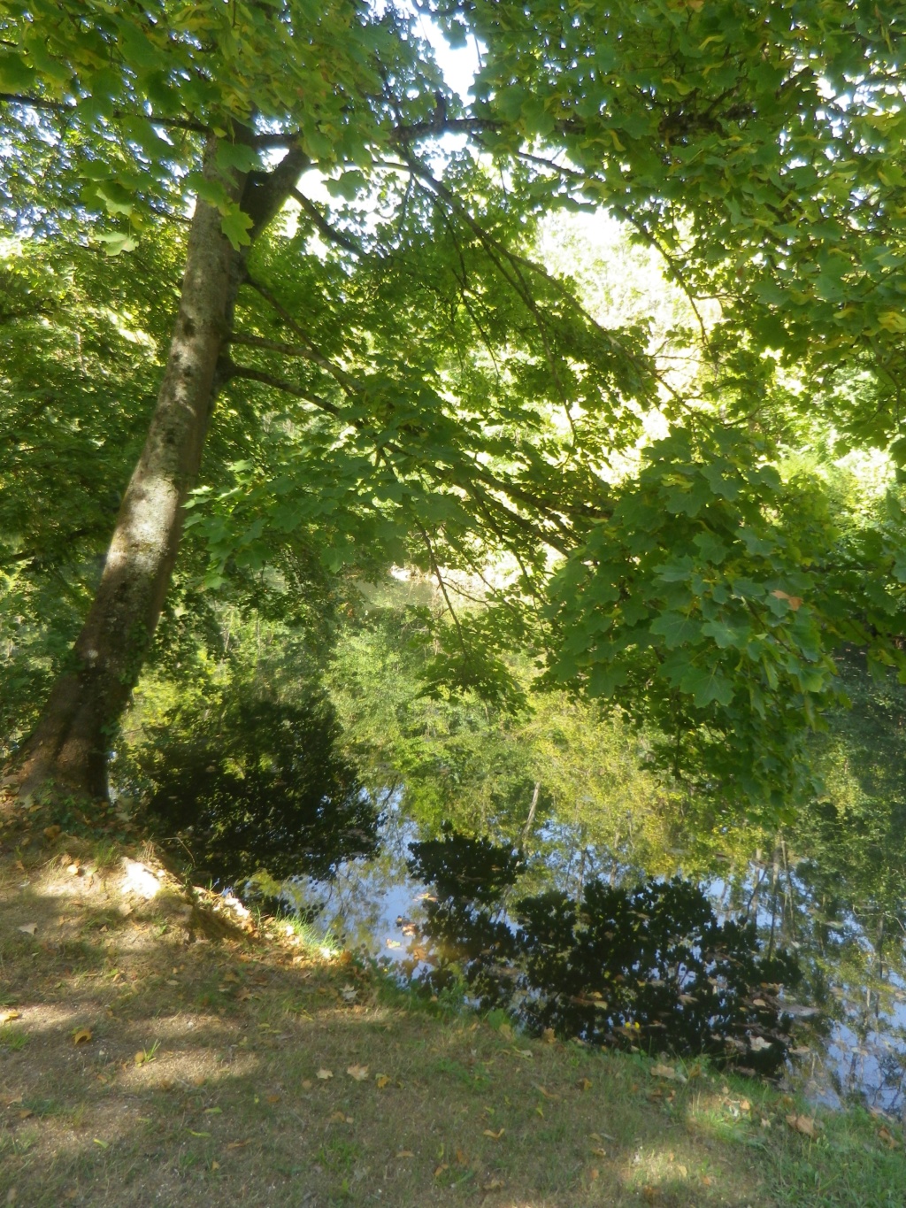 A Yerres, la propriété Caillebotte Imgp2373