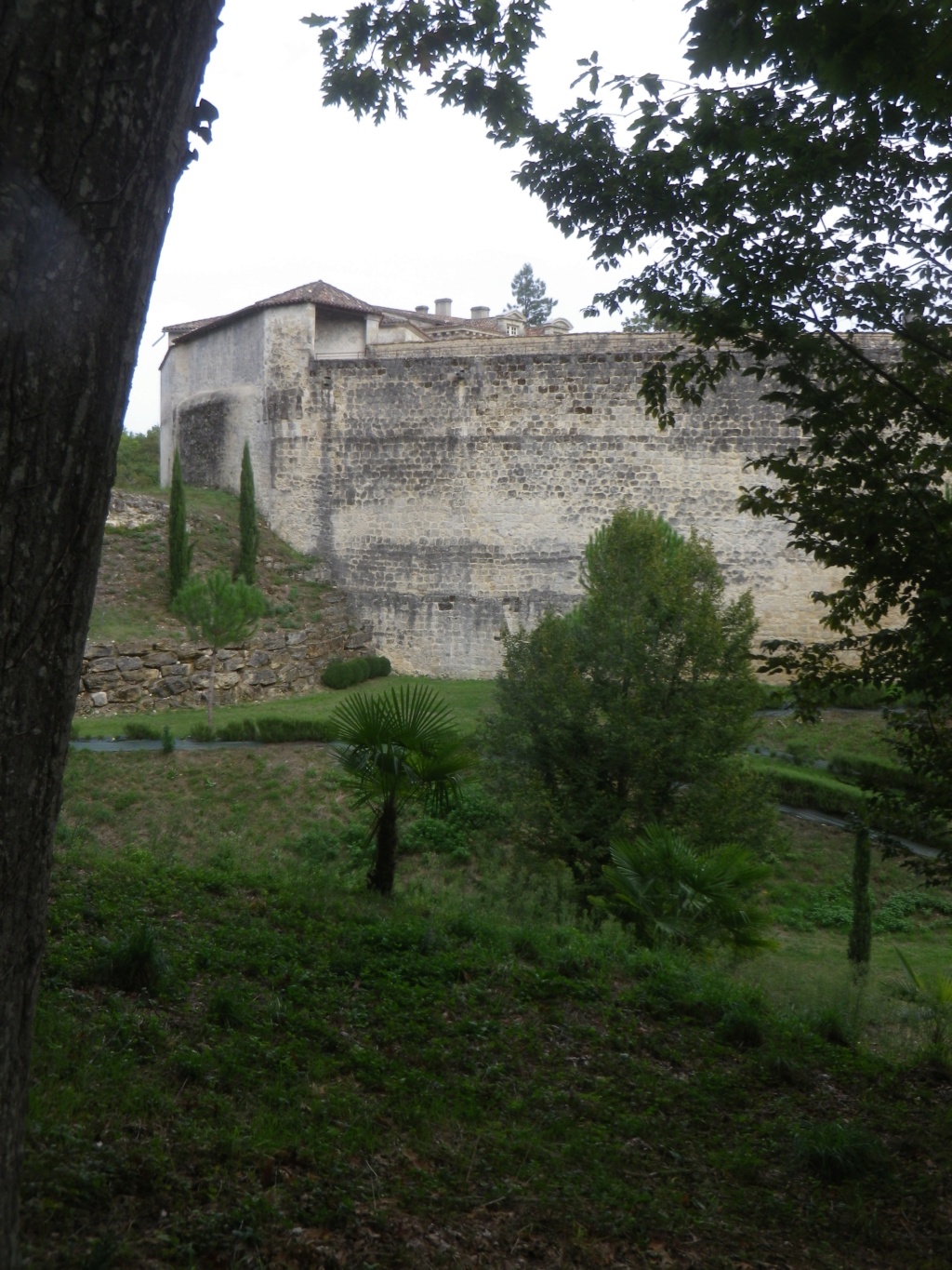 Le château royal de Cazeneuve Imgp2569