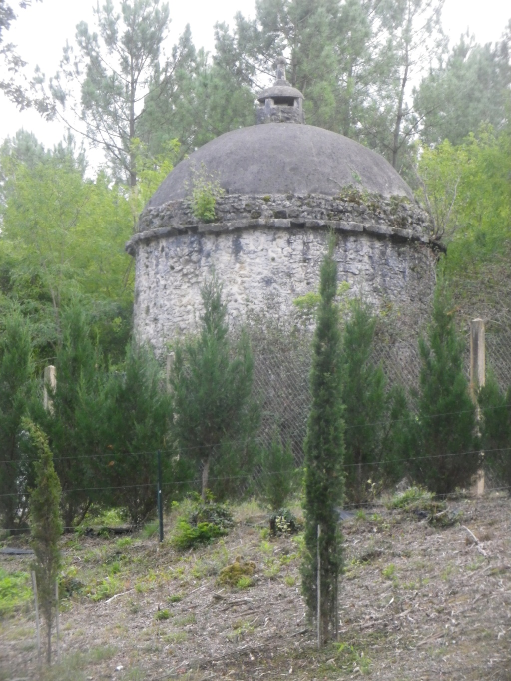 Le château royal de Cazeneuve Imgp2574